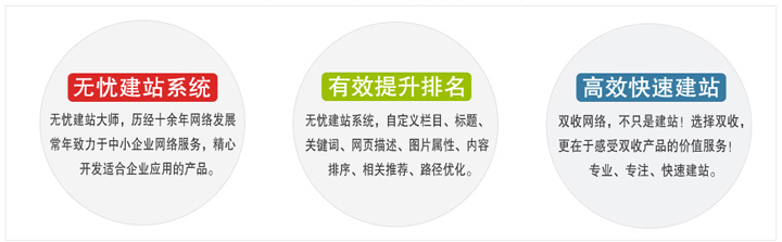 專業(yè)網(wǎng)站制作公司